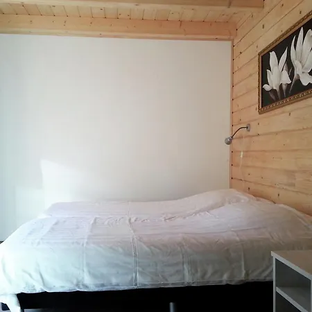 Holiday home Wooden Near Brunssummerheide