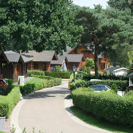 Holiday home Wooden Near Brunssummerheide Brunssum